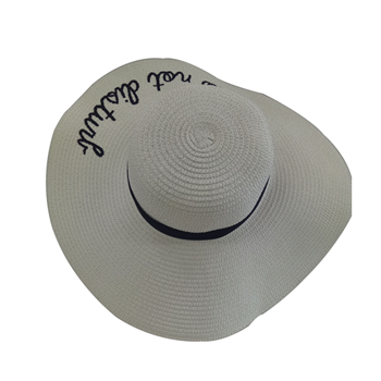 Wide Brim Straw Sun Hat
