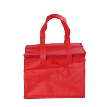 Non-Woven Cooler Bag