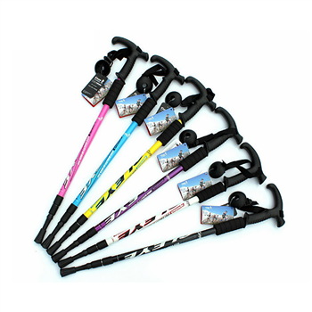 Trekking Pole