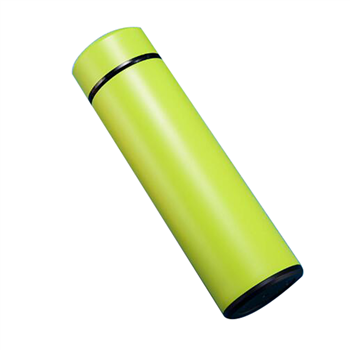 Stainless Steel Vacuum Insulated Bottle