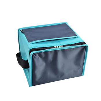 Dual-Tone Insulated Cooler Bag